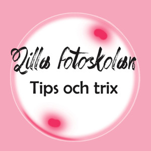 Lilla_fotoskolan